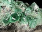Fluorite & Galena Cluster - Rogerley Mine #60373-3